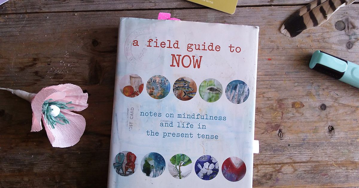 Field Guide To Now – Christina Rosalie